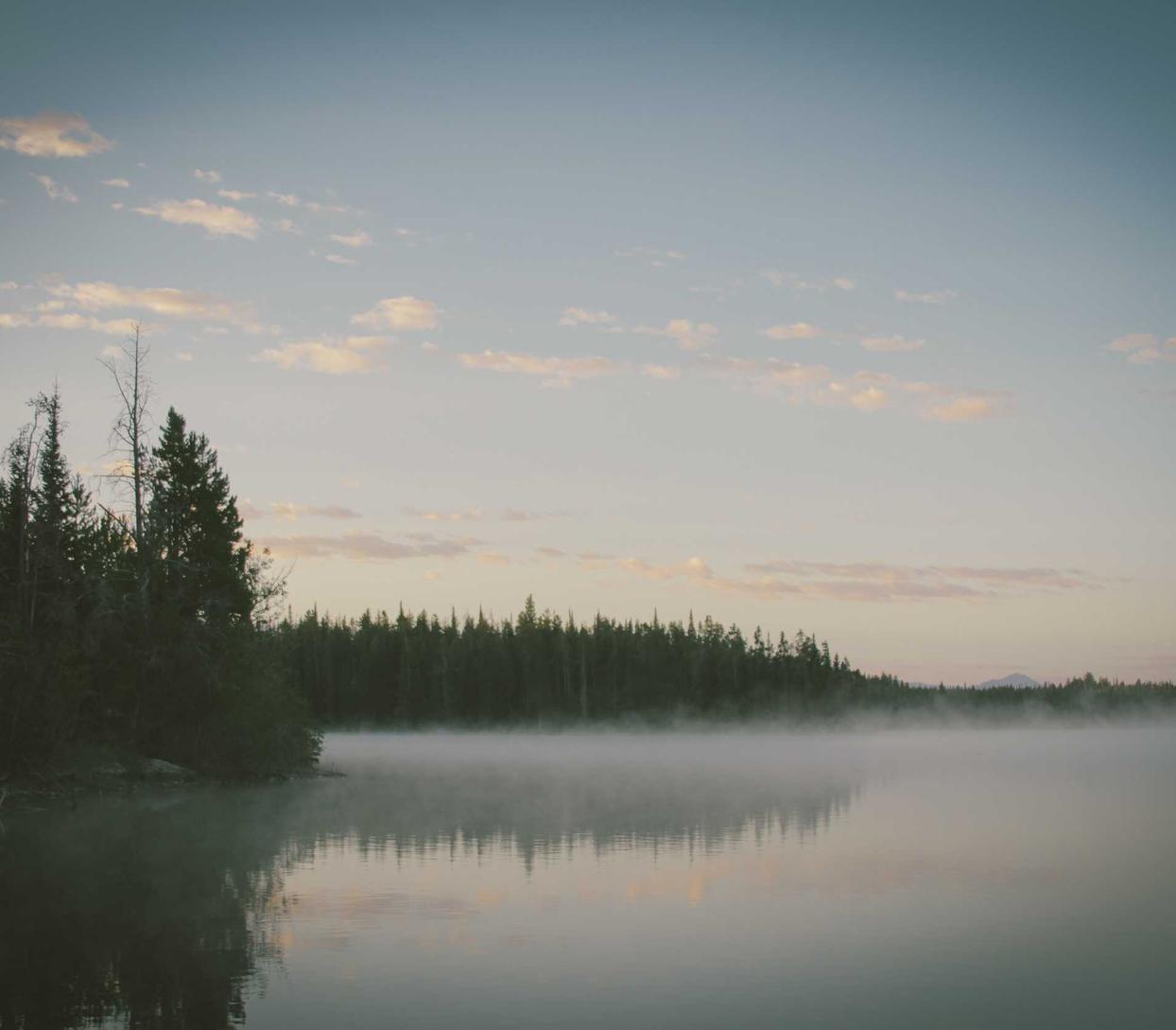 老微信号码批发:向钱贷app最新版本详情下载教程