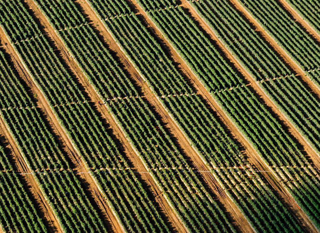 网络平台代理如何招人