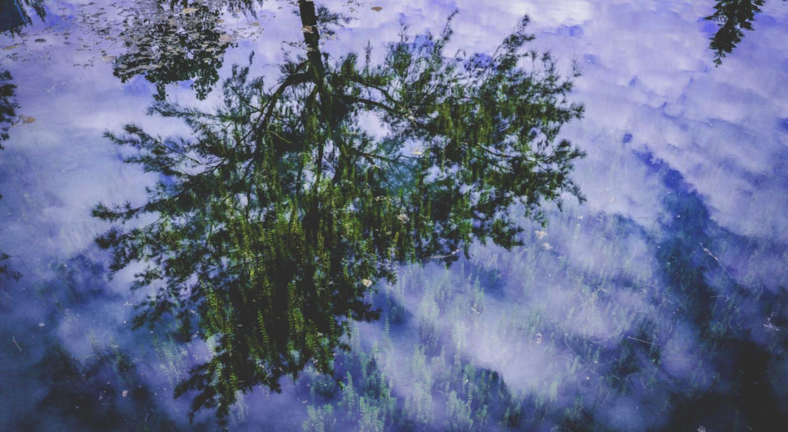 新射雕群侠传之铁血丹心:购买qdii平台