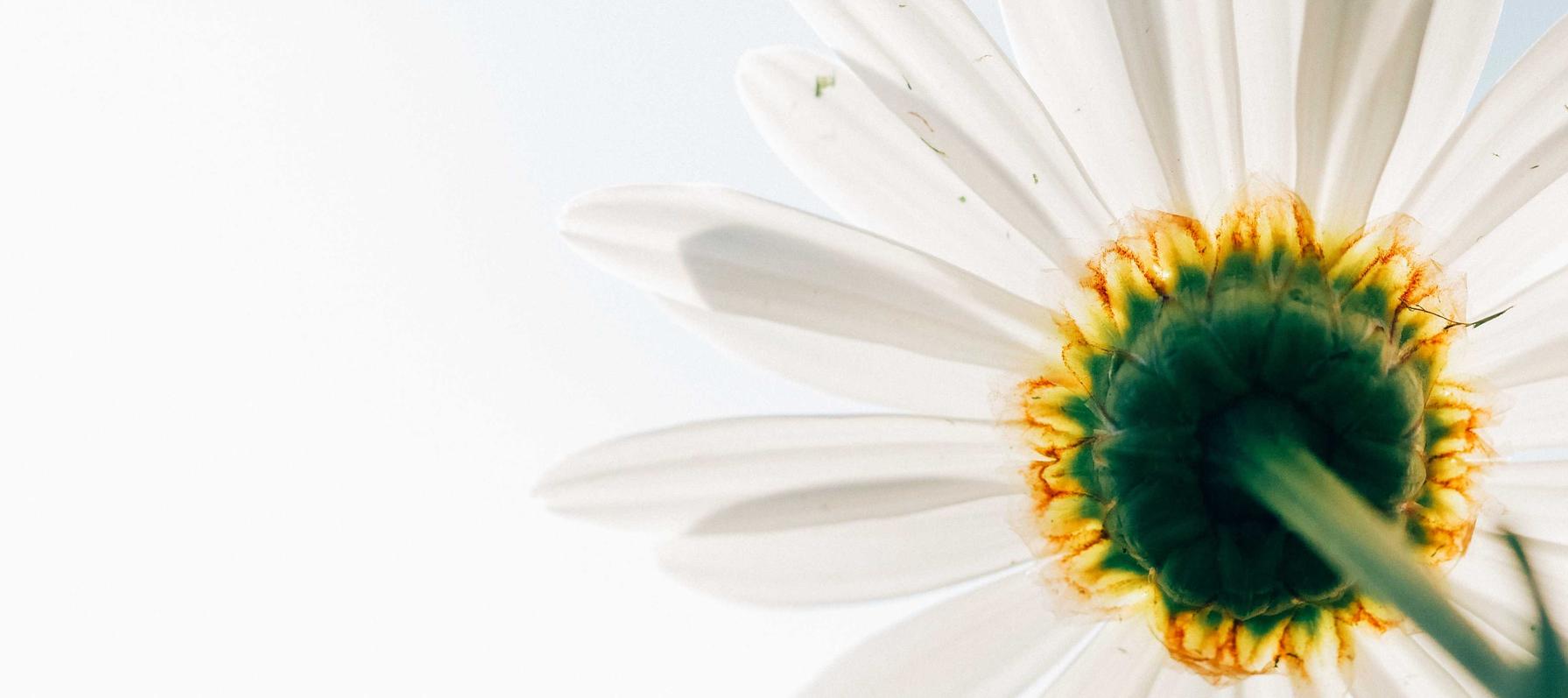 百度云实名账号:实名制下的奢侈品的购买