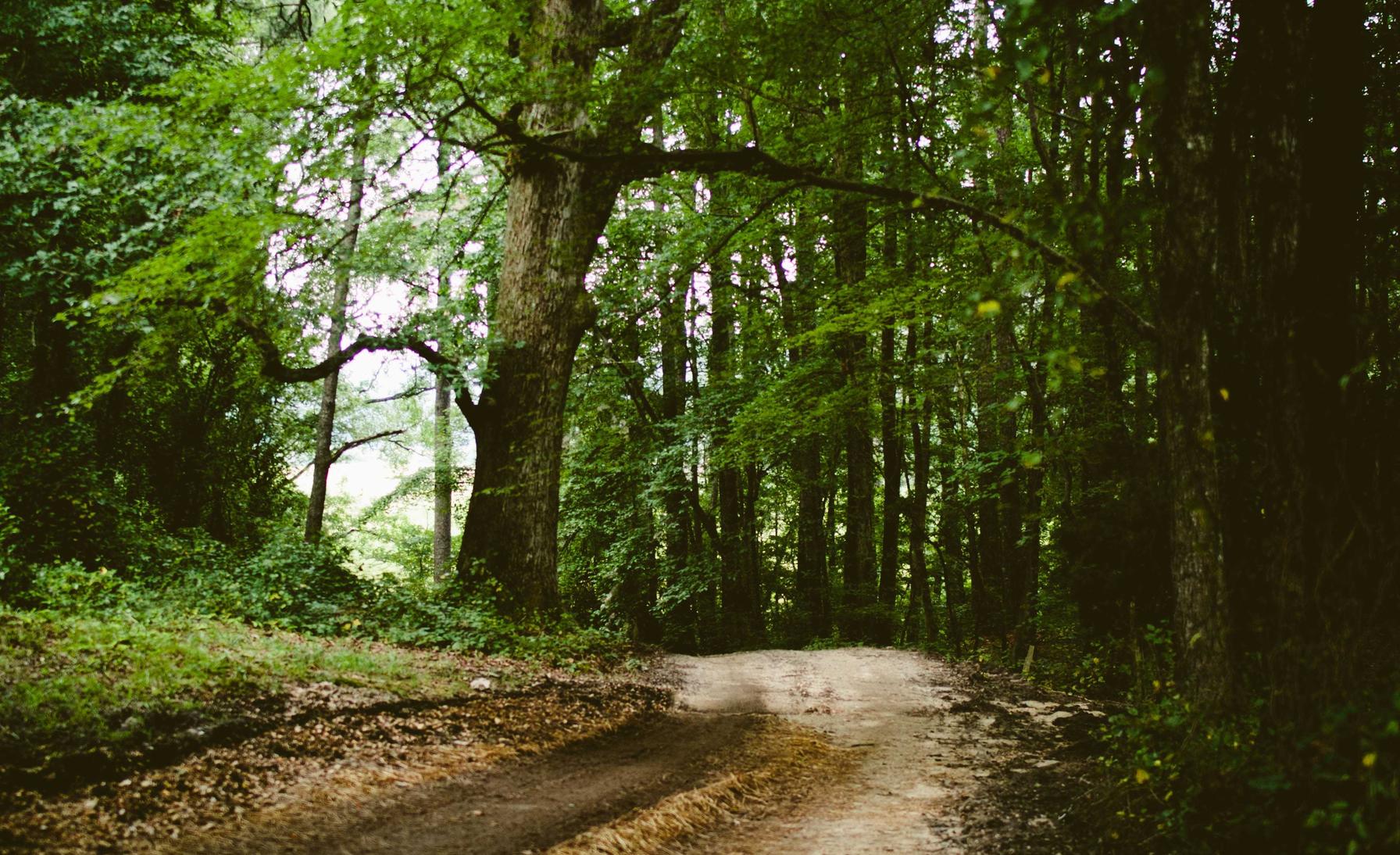 日税香草魔鬼:决战手游代理平台
