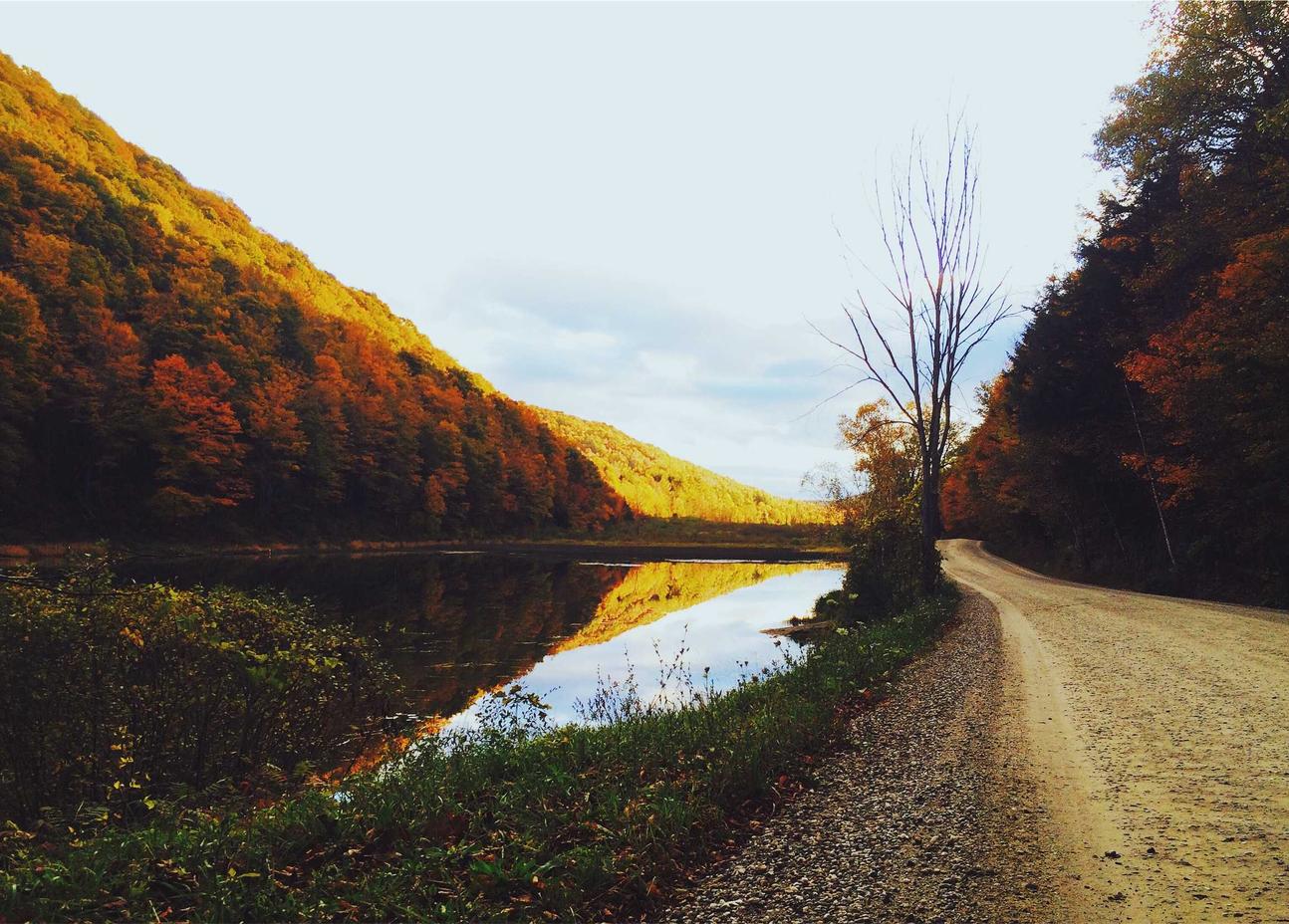 海豚之星代理注册佛山公司