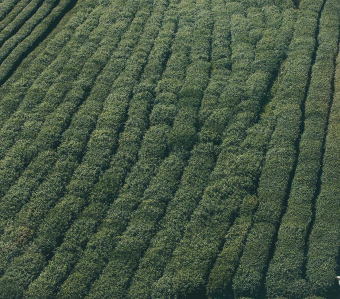 DDOS在线压力测试|平台购买运费