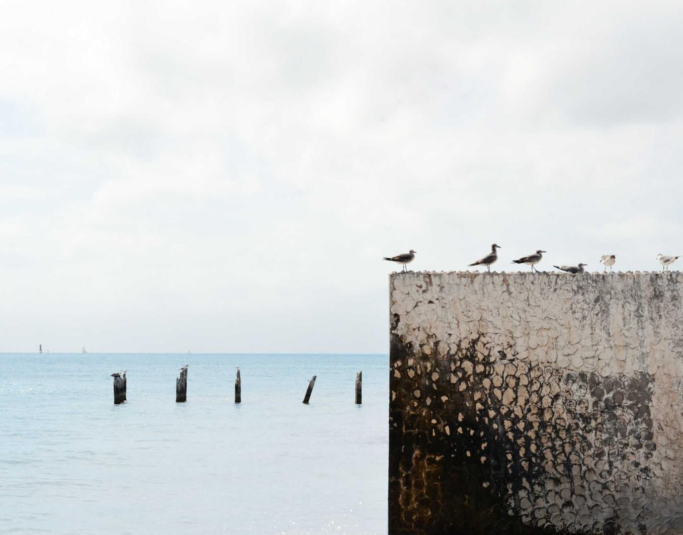 微信出售官网:中山快手平台开户地址查询