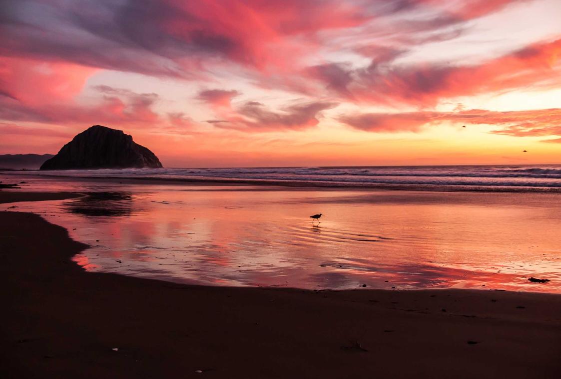 怎么注册王者手游账号微信