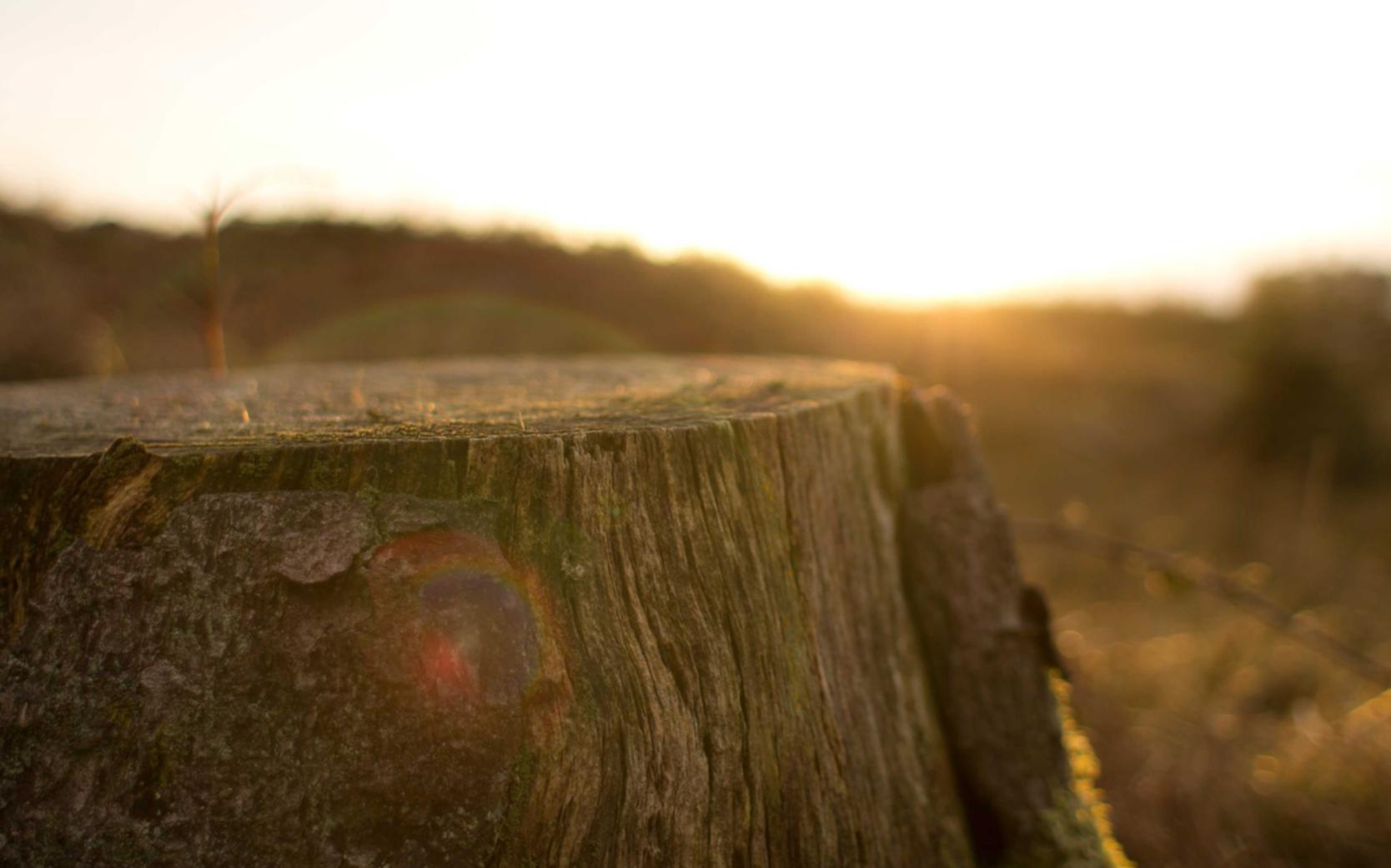 宁乡注册代理记账培训