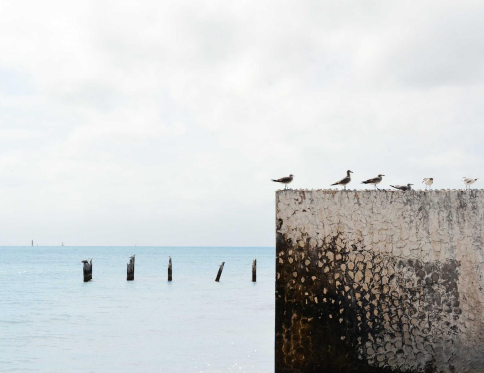 阿里云实名账号：11平台 代理