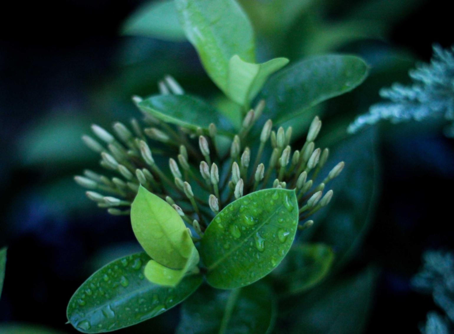 实名抖音号买卖：流量卡充值是否有活动促销或优惠券可供选择？