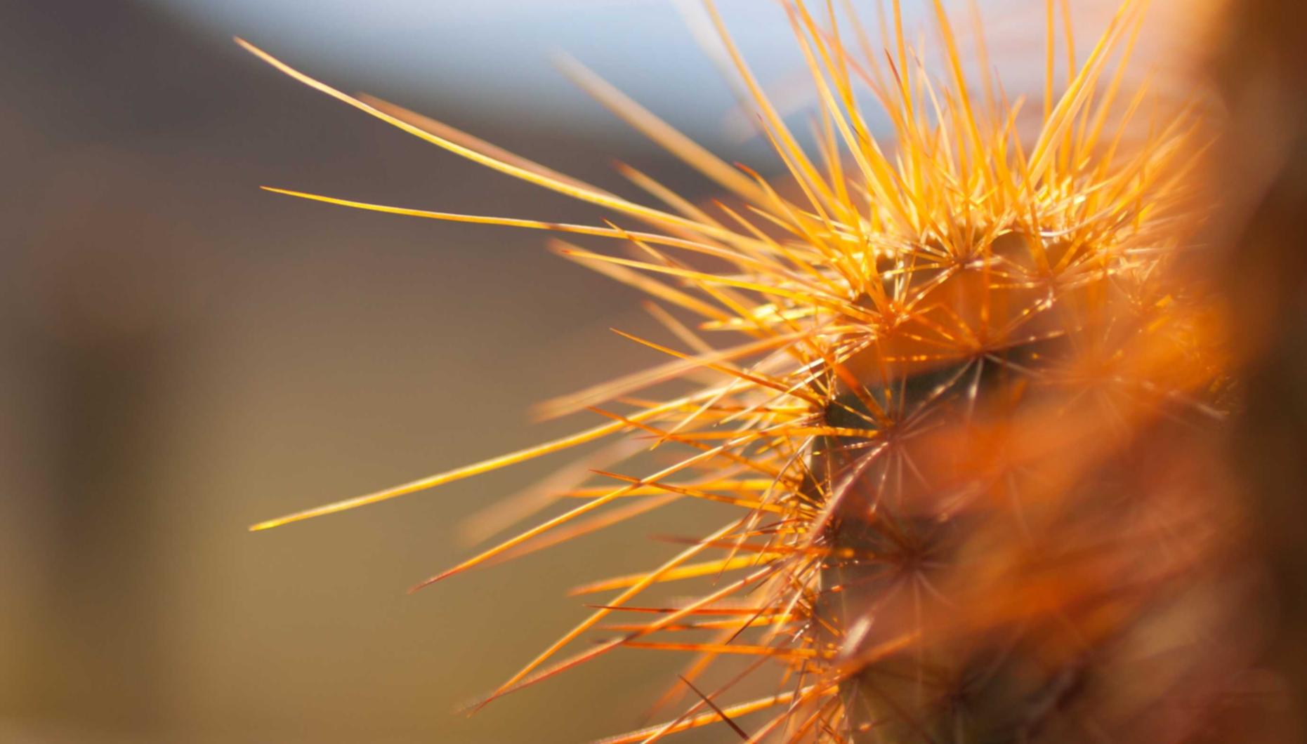 胡桃日记：详情下载教程工行的app