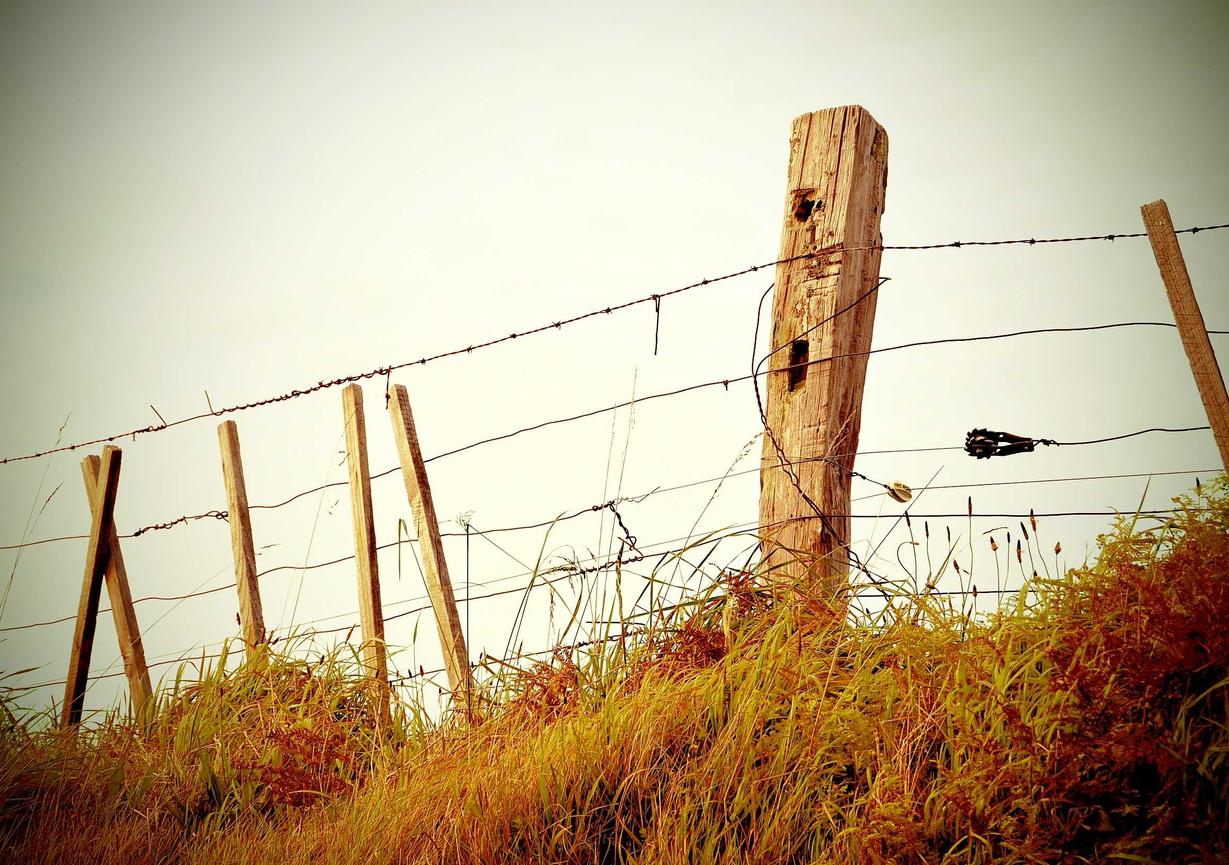 cc网页端|嘉定工业区代理自贸区注册