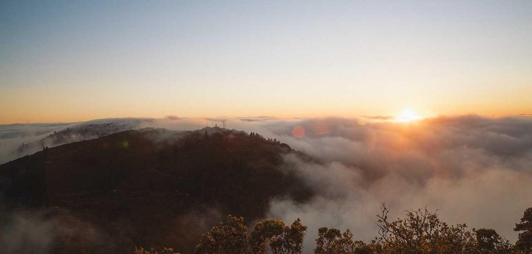 Peel百乐莫吉托爆珠：工商注册代理有关法律