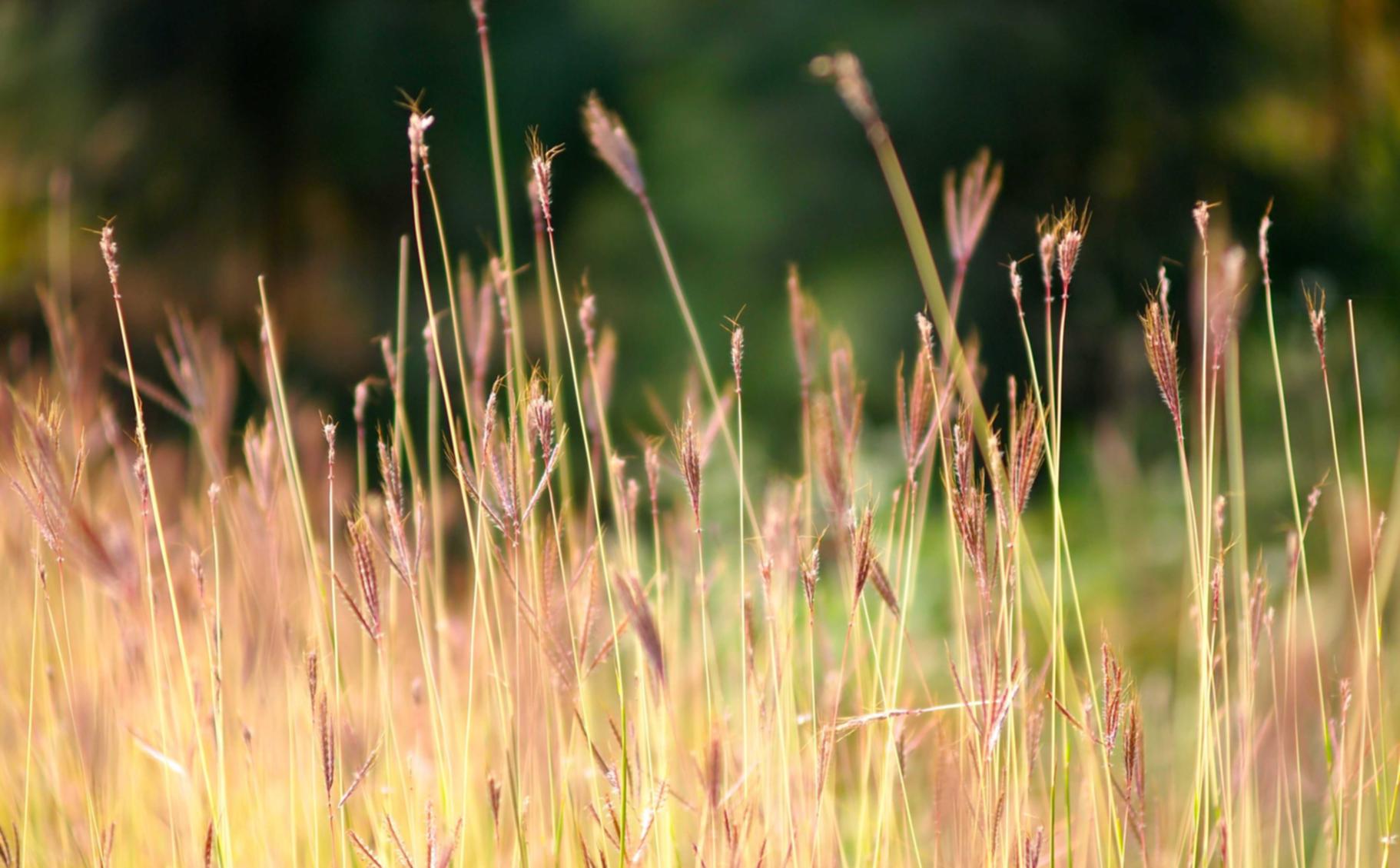 长江时代实名账号:蚌埠代理记账平台