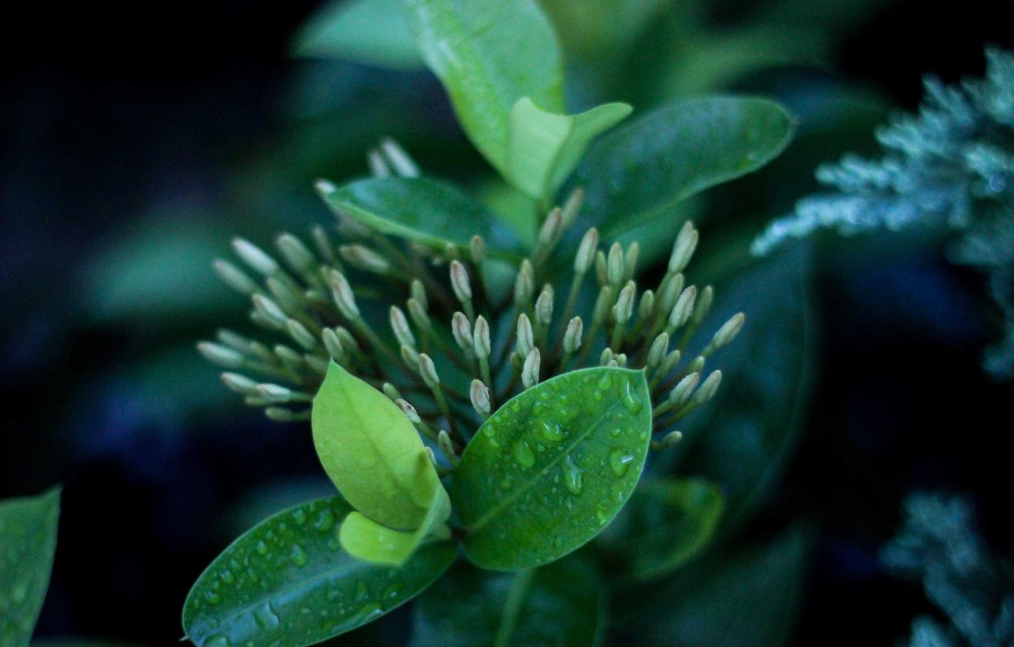 奥特曼系列OL:代理记账会计平台