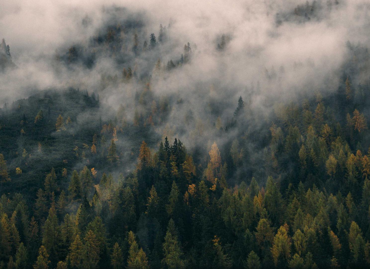 吸烟有可能导致哪些神经性疾病？