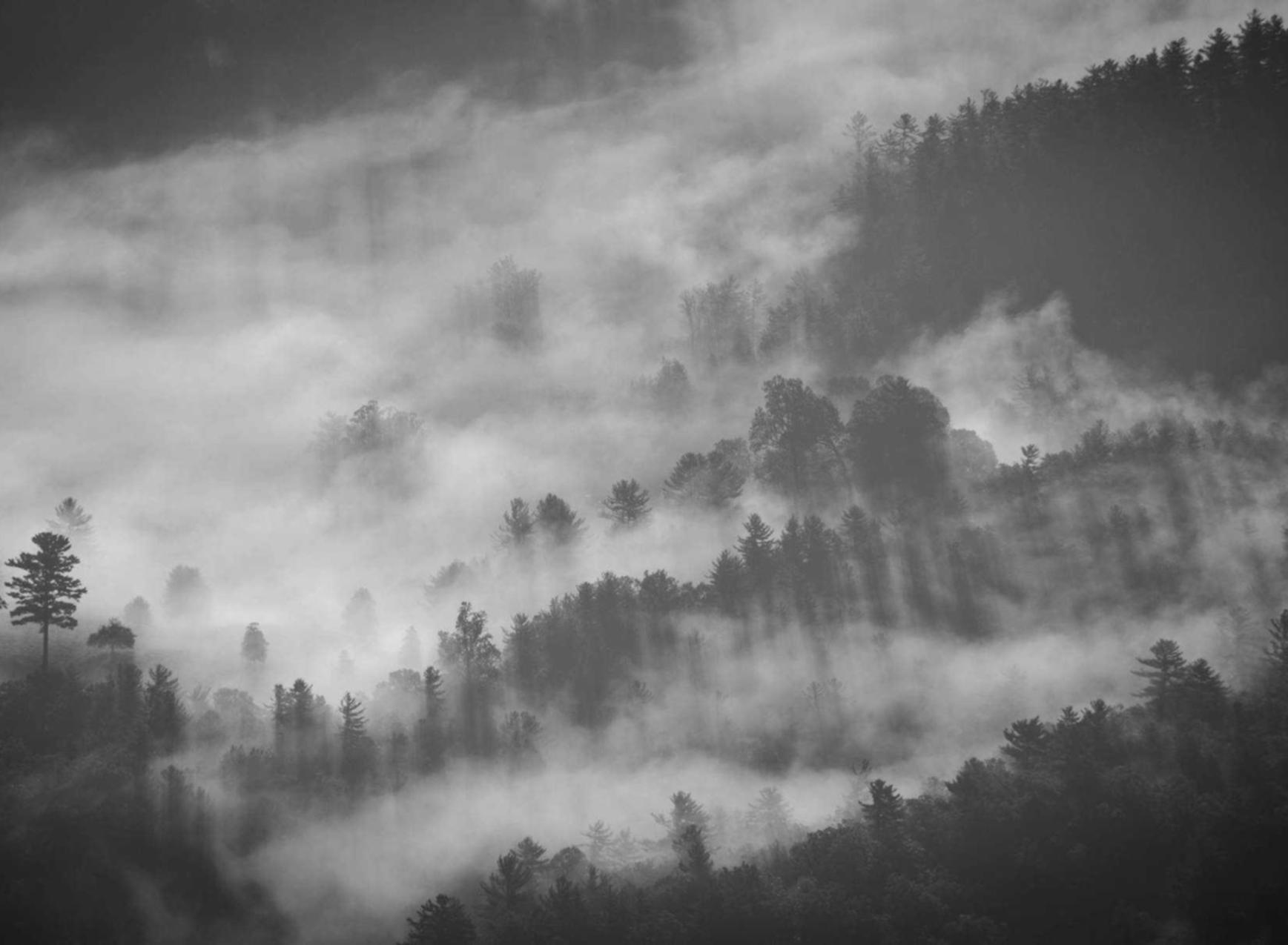 B站手机卡实名账号:一淘注册账号安全吗