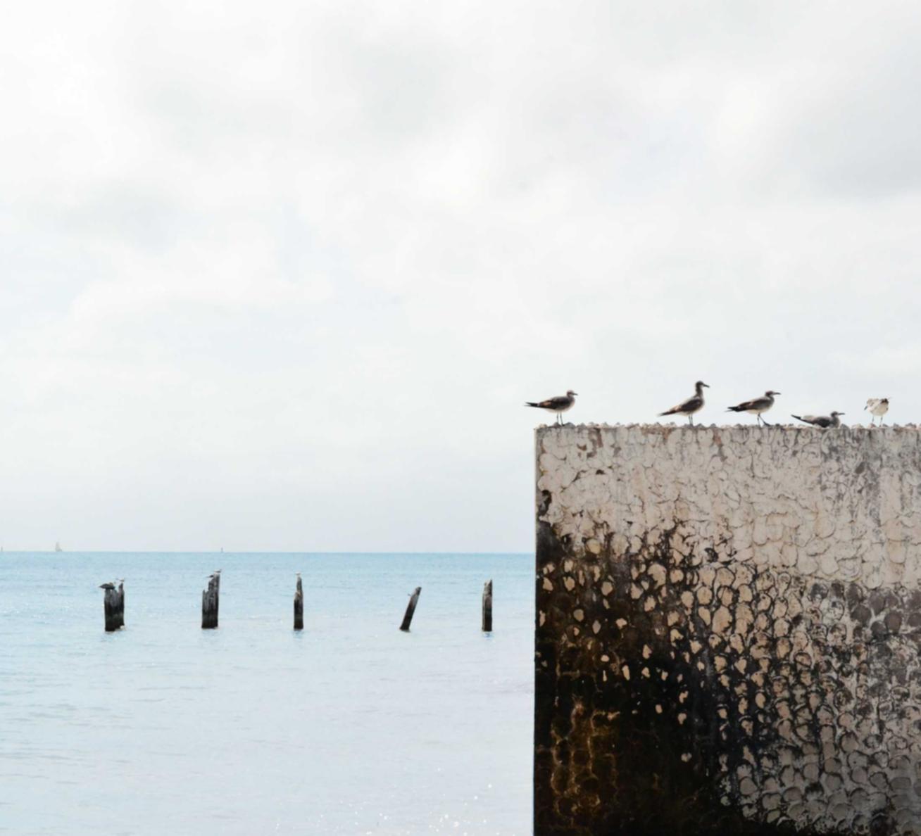 三网卡实名账号：虚拟货币线下开户平台