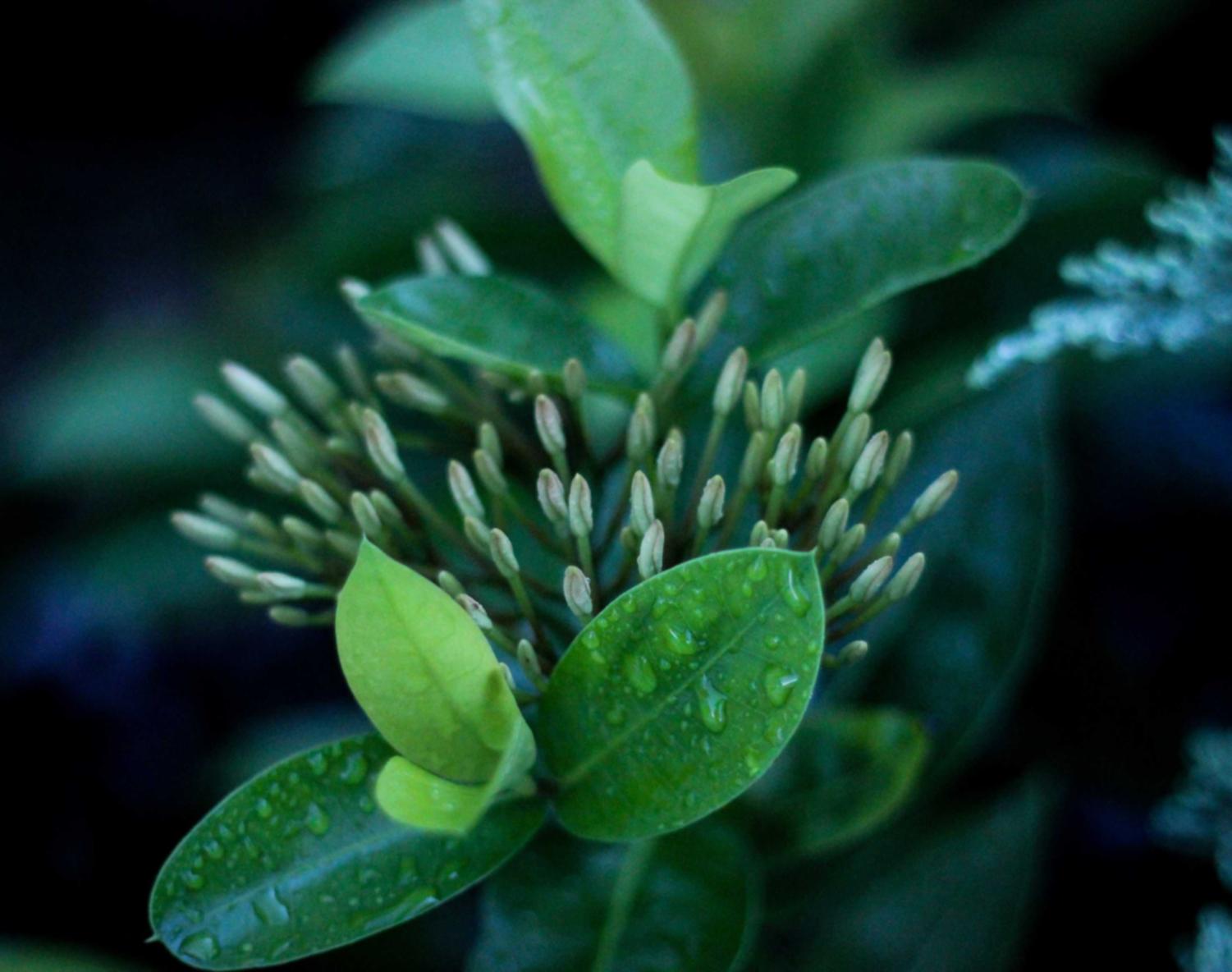 eSIM卡实名账号：磁县代理公司注册