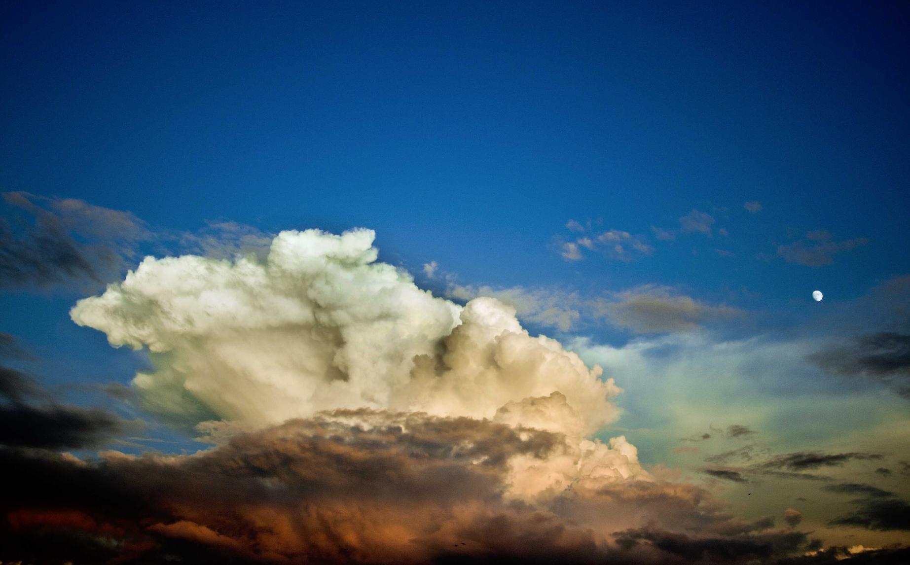 知网注册账号能否查阅文献