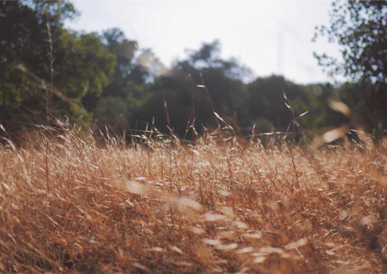 从零开始的异世界生活-INFINITY辅助- 靠谱的工商注册代理价格