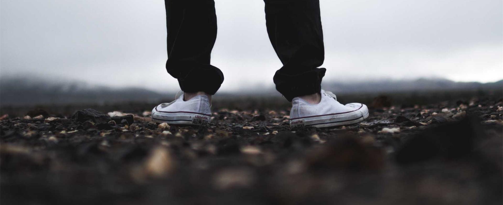 欧盟万宝路黑绿：法拍服务平台代理