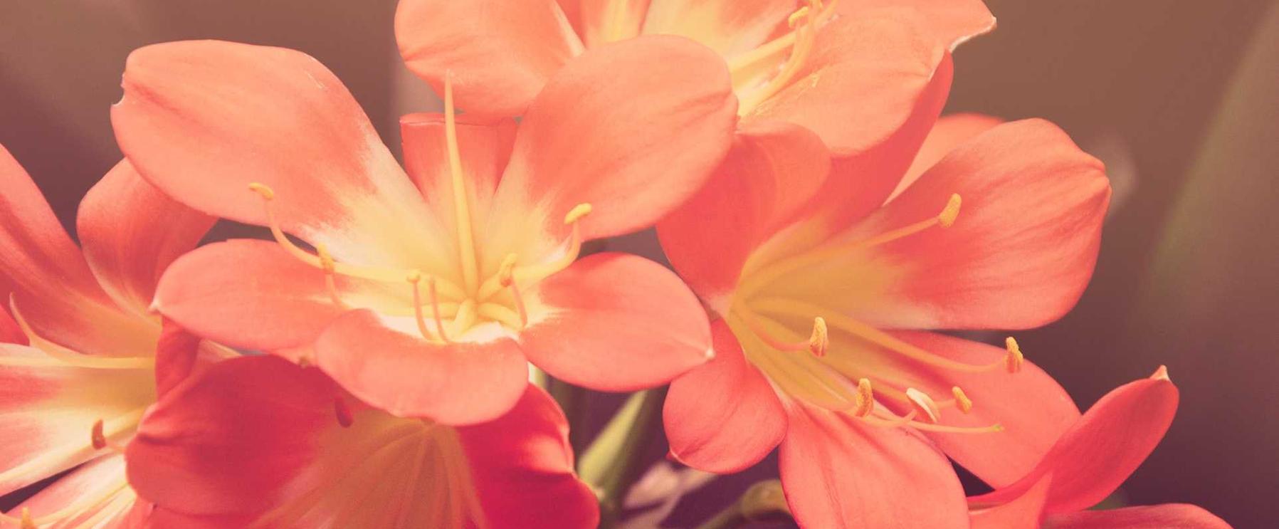 如何根据目标市场针对性推广产品 