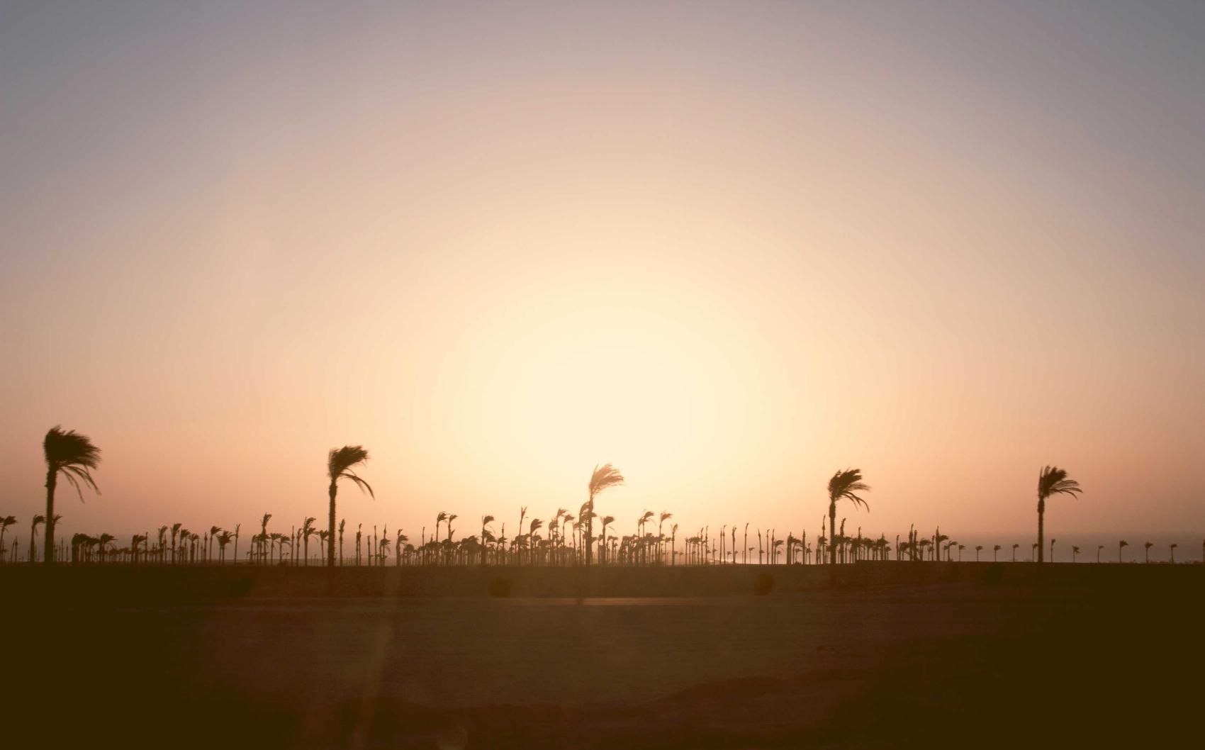 如何避免戒烟后的体重增加？