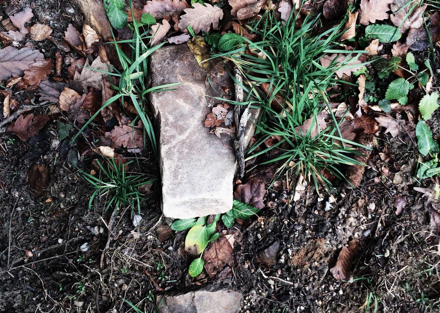 小红书实名账号：网贷平台开户流程