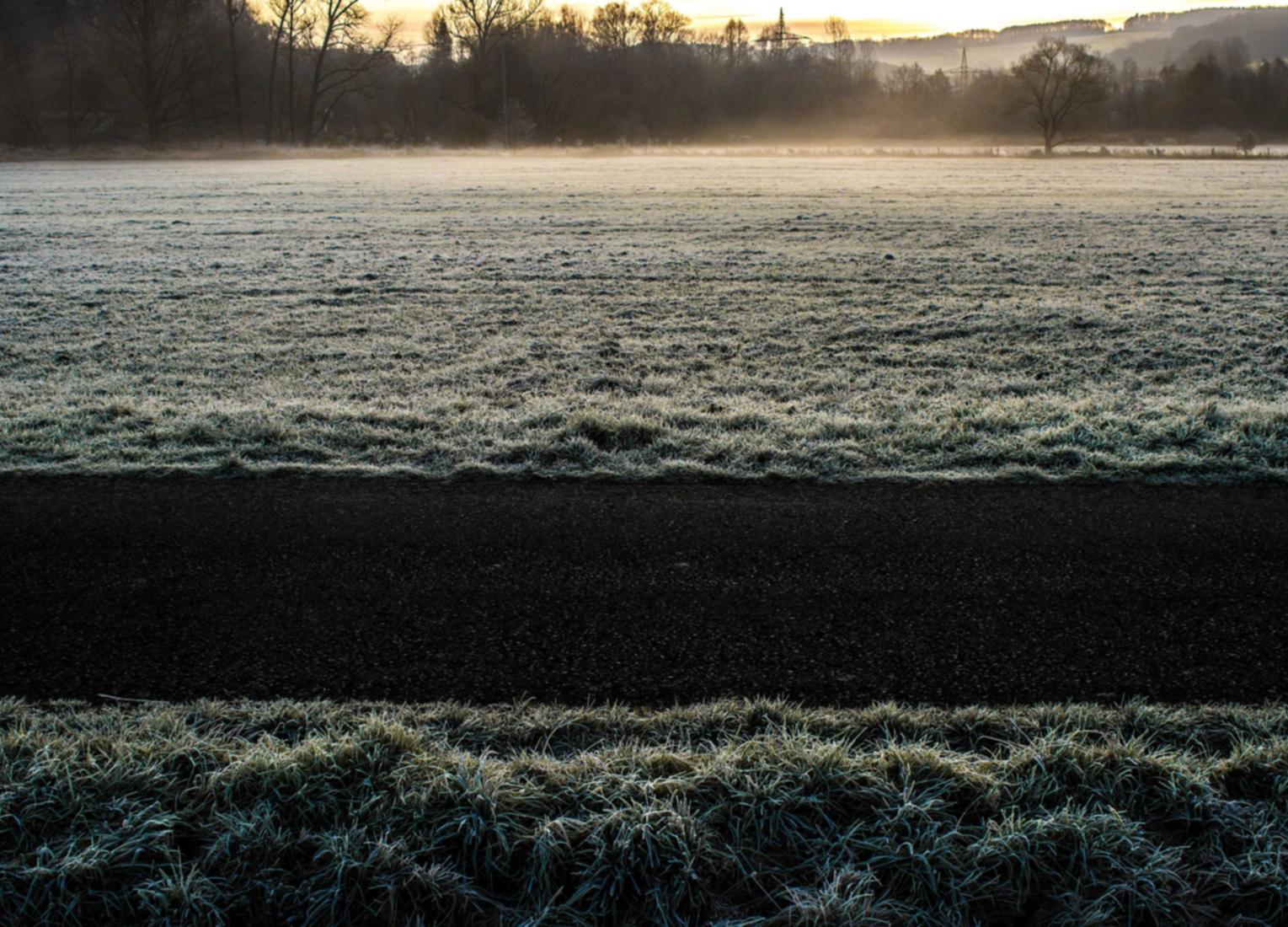 铁塔猫红酒爆珠（粗）：易通卡app详情下载教程
