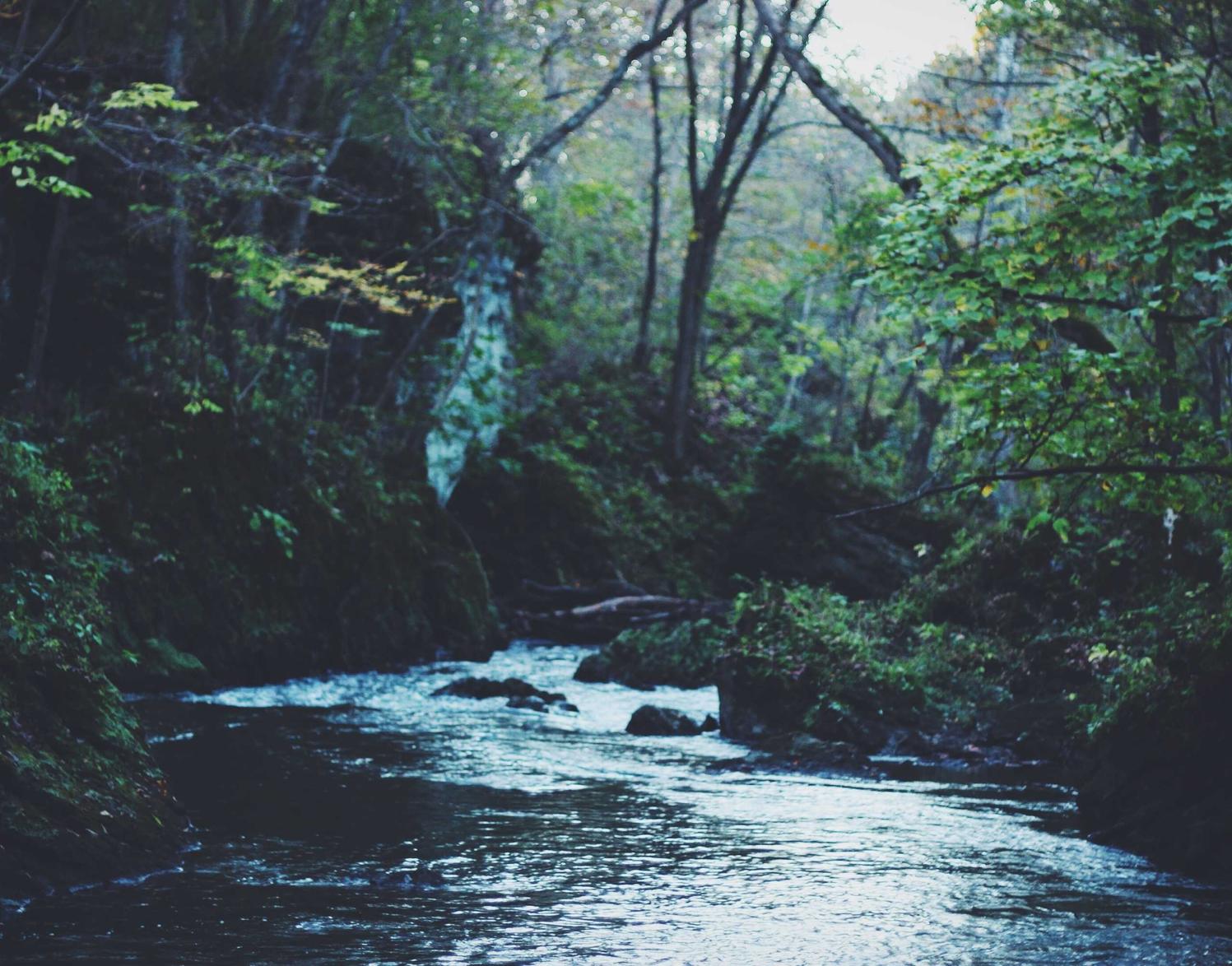 老人卡实名账号：实名认证对于账号安全的重要性