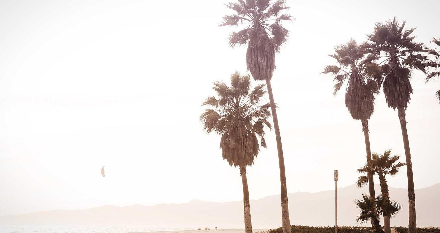 支持或反对组织制止技术支持销售？