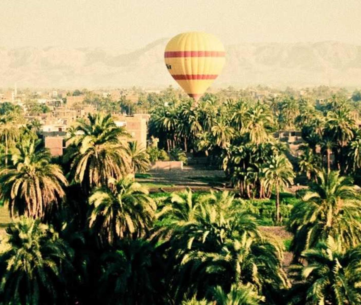 长亭科技实名账号：组装机购买平台