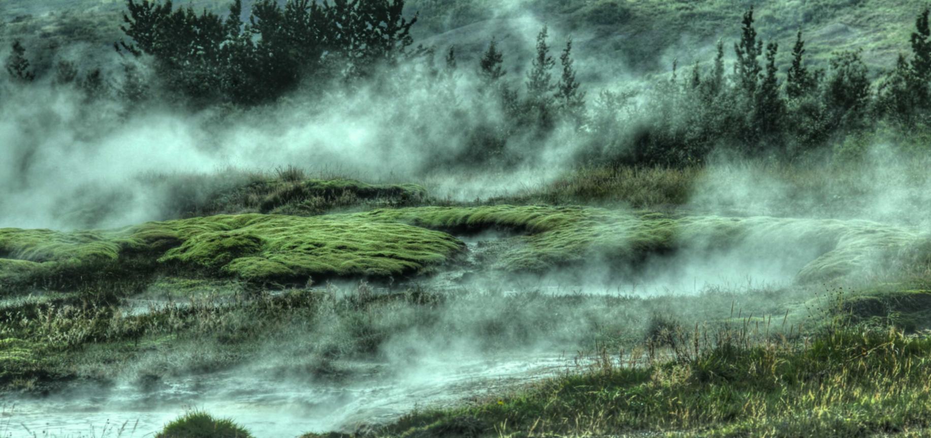 龙族幻想手游:淘宝红包app详情下载教程