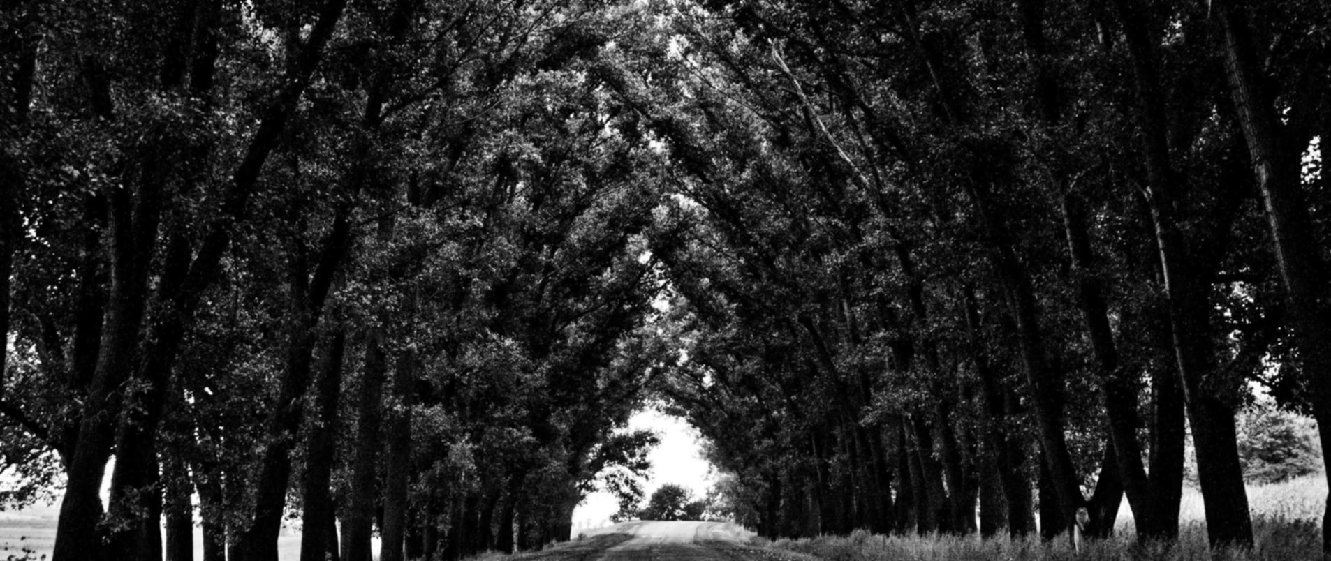 上城商标代理注册多少钱