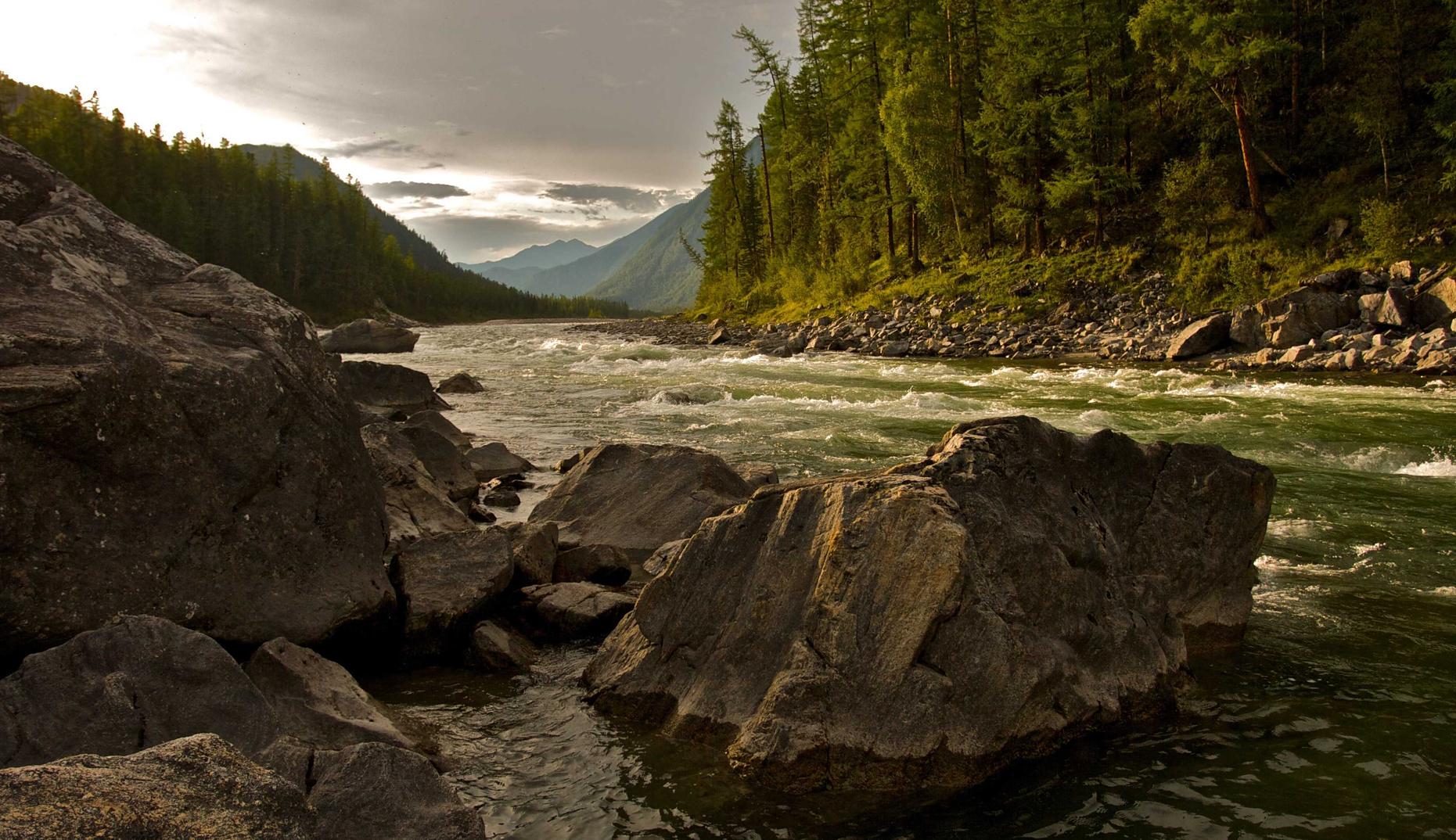 阿凡提香蕉：西宁书画平台哪个代理好