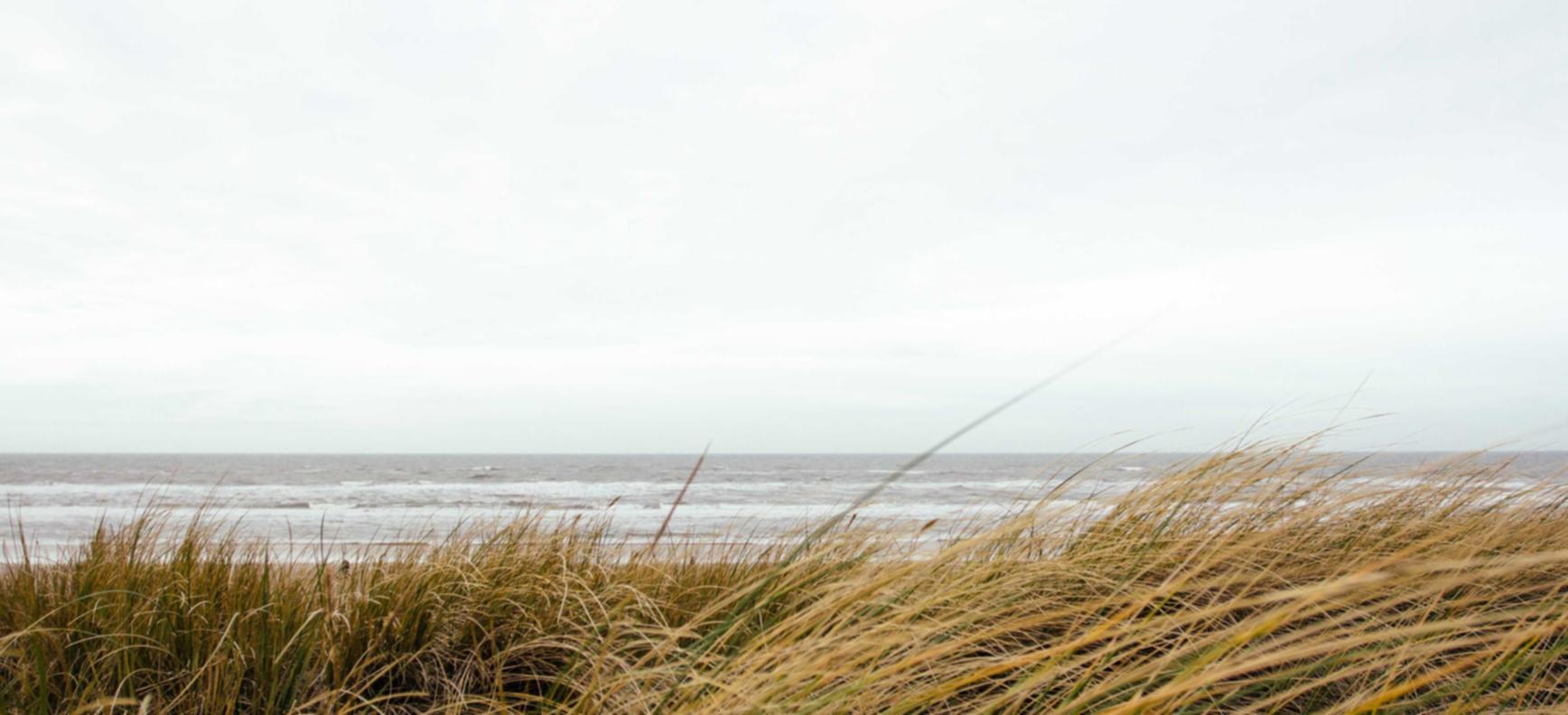 微信账号买卖：代理注册事务所哪家口碑好