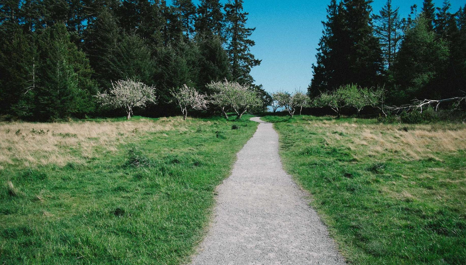 DDOS攻击教程|如何保护你的区块链免受黑客攻击