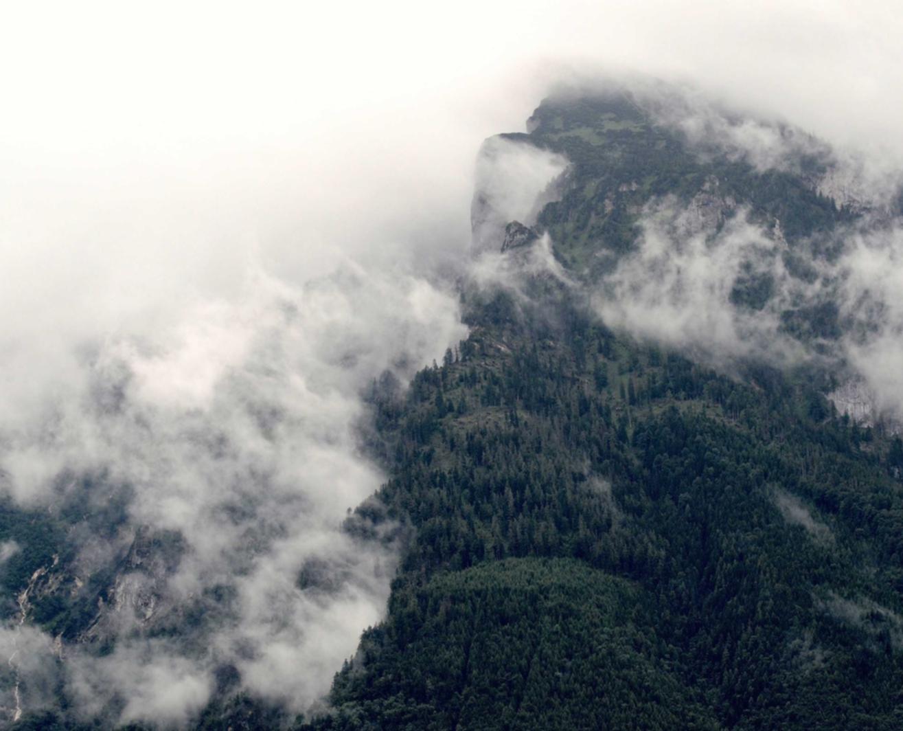 实名手机卡买卖：平台代理犯法