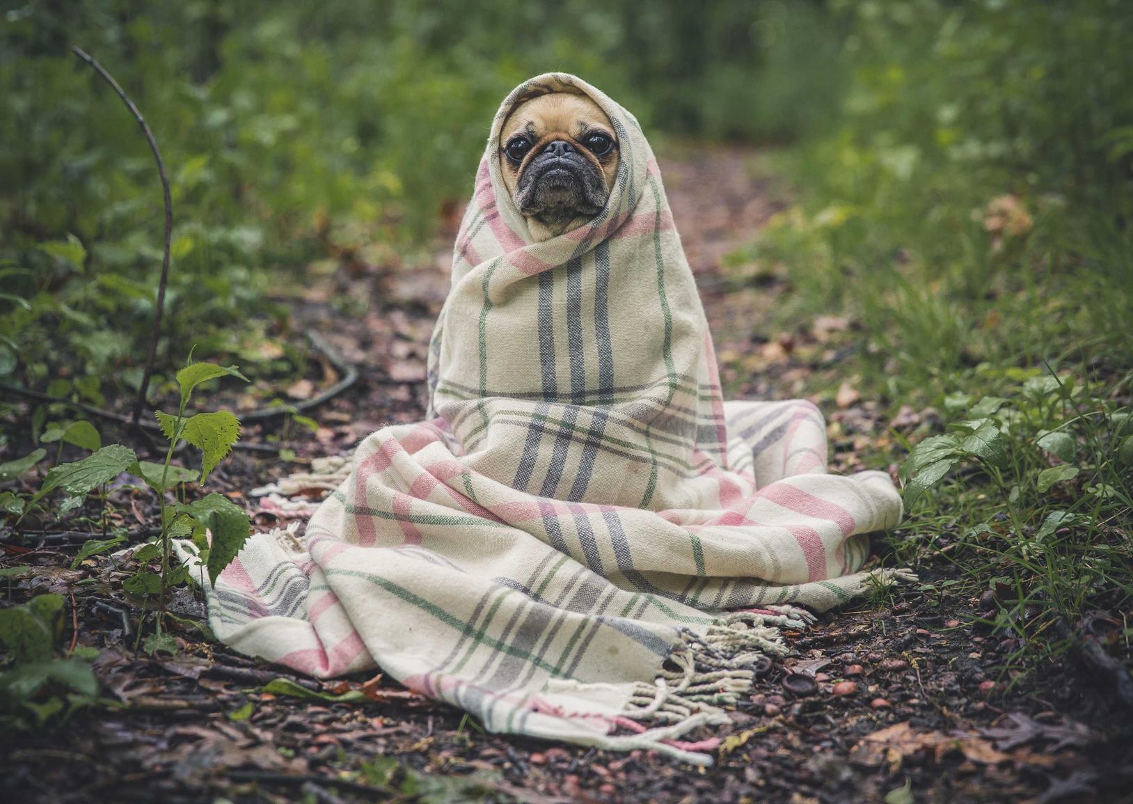 技术支持可以得到什么？失去什么？