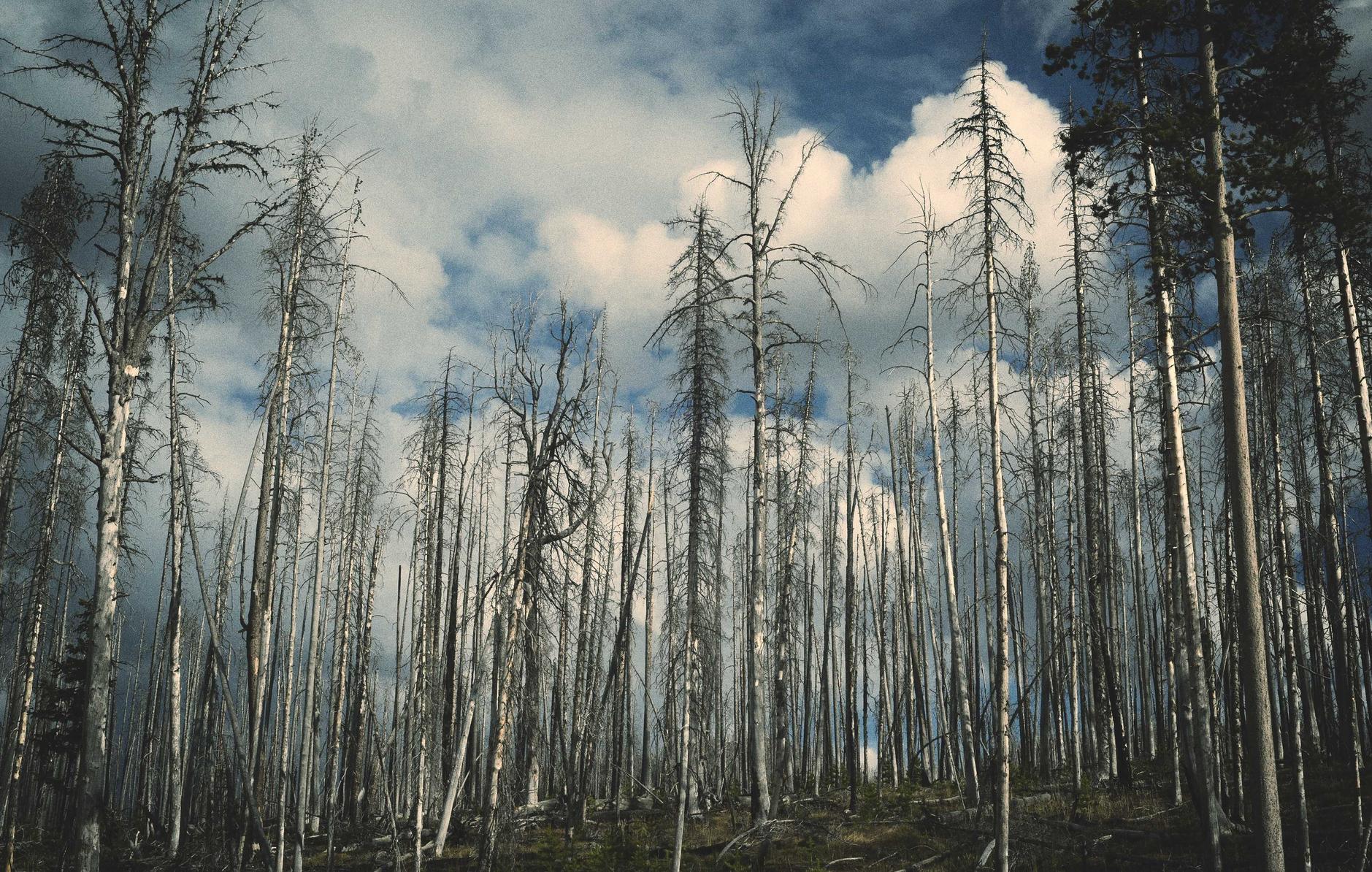 okx欧易实名账号:禅城酒店管理注册公司代理