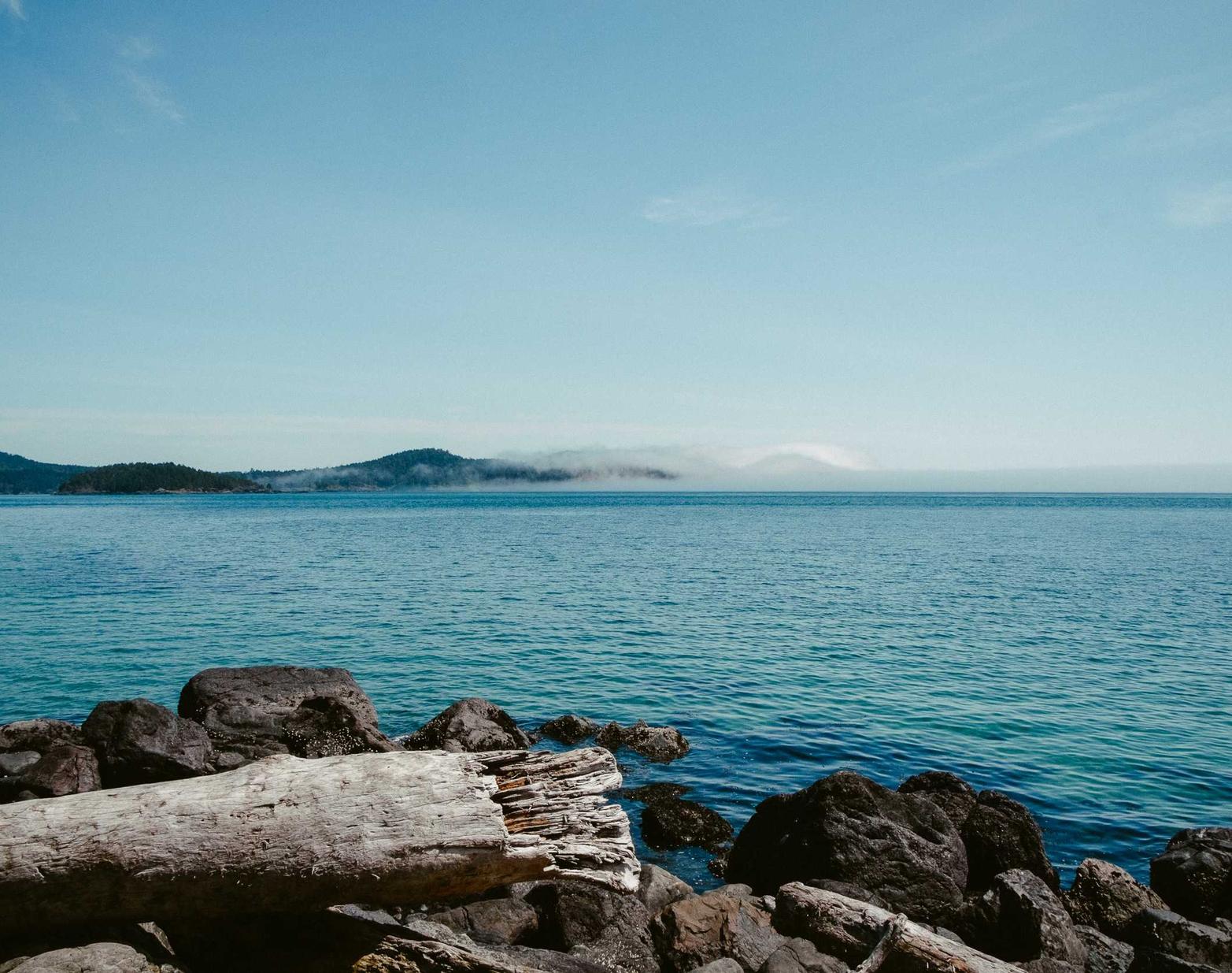 在线DDOS压力测试网页端|代理奋斗猫外卖平台