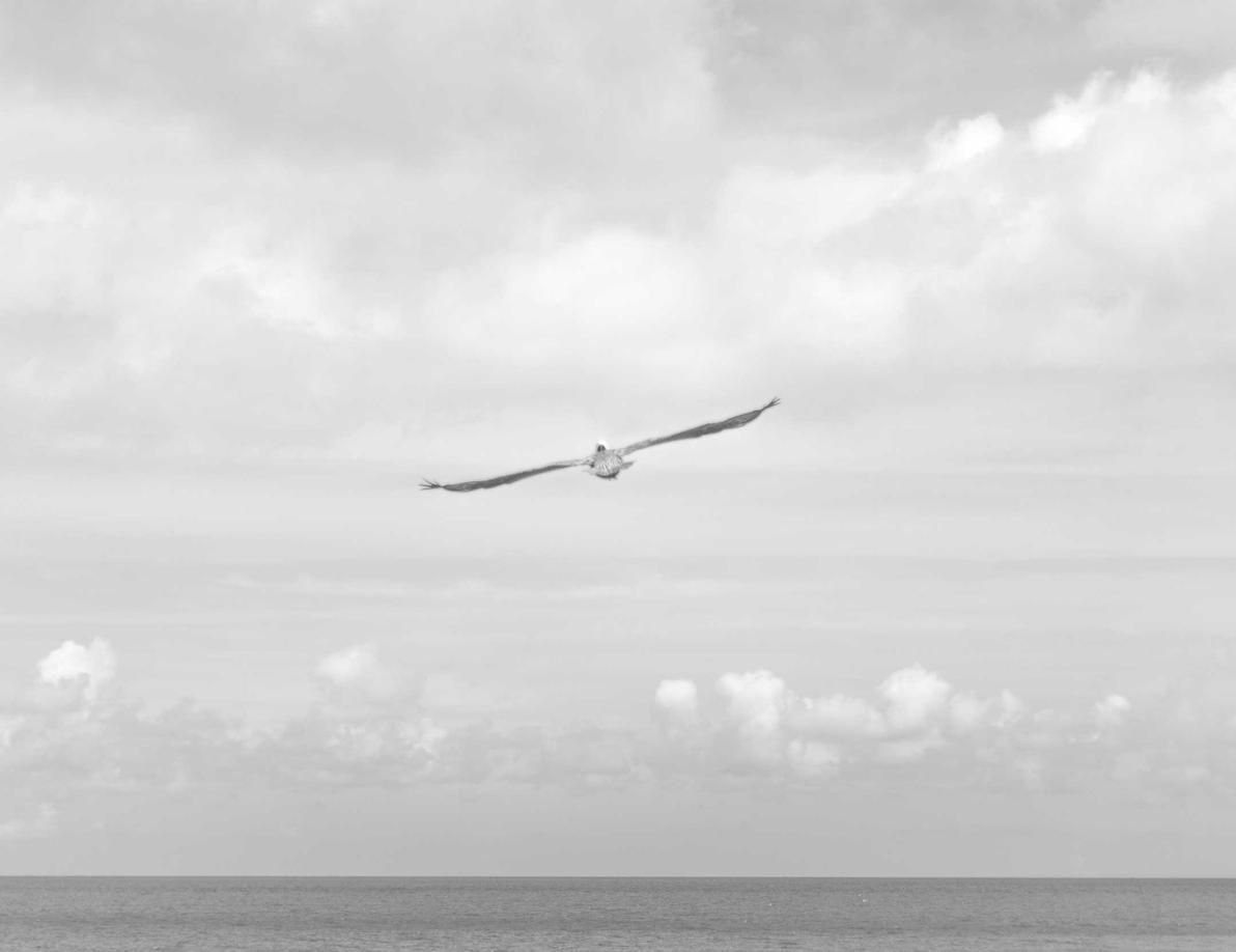 迪加实名账号:隐私app详情下载教程免费