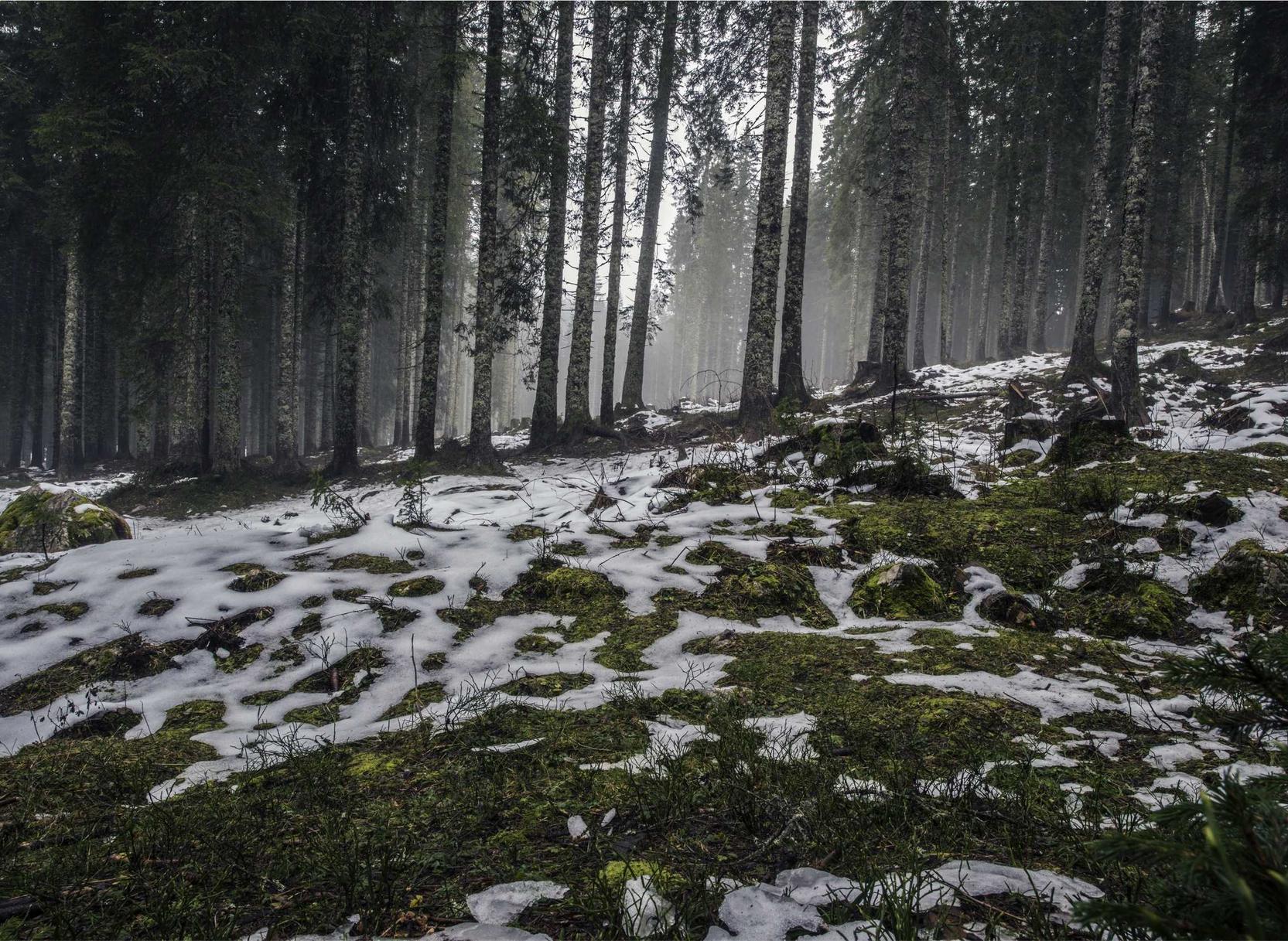 沐鸣2我要项目规划平台代理