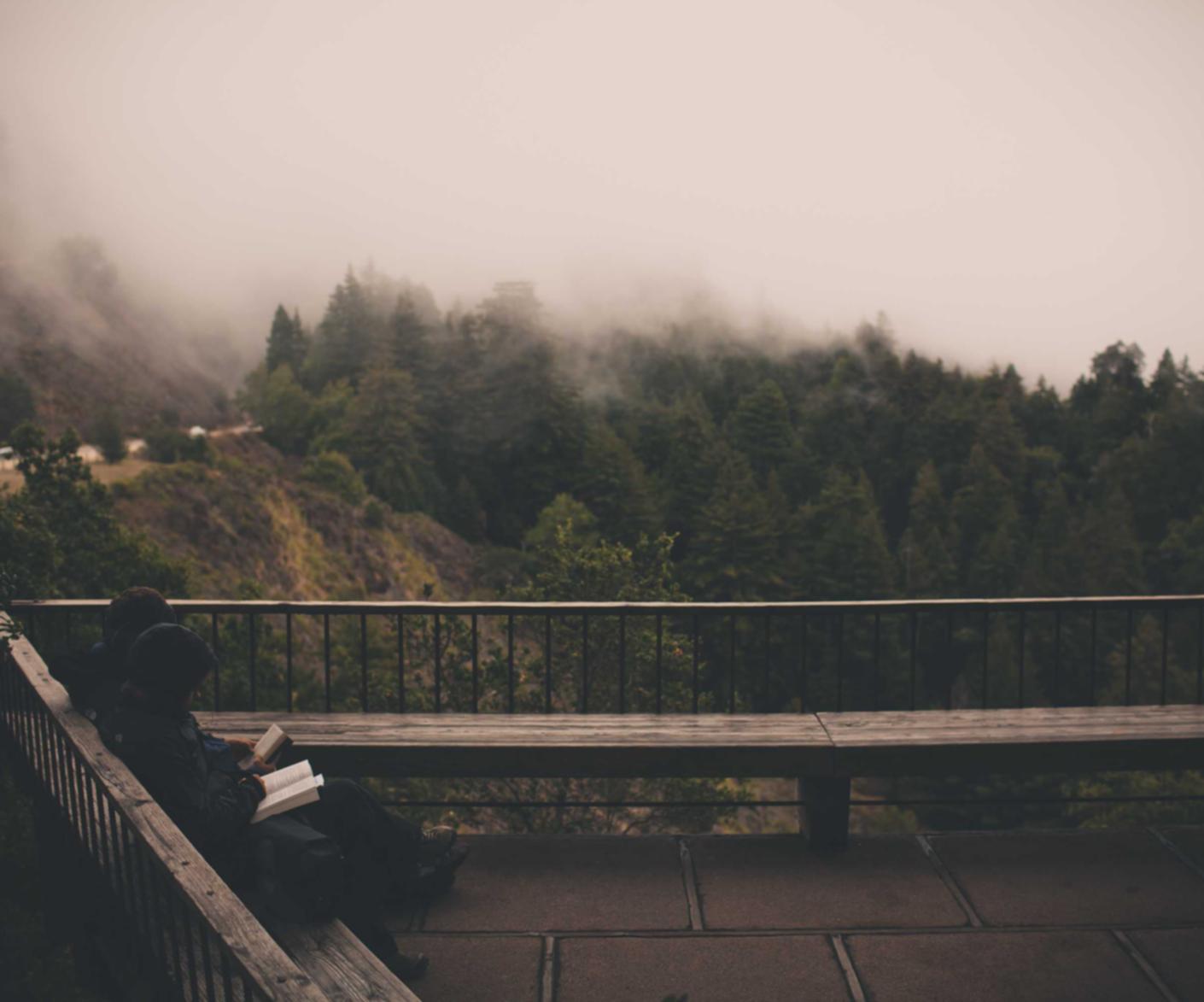 中兴视通实名账号:米融网app详情下载教程