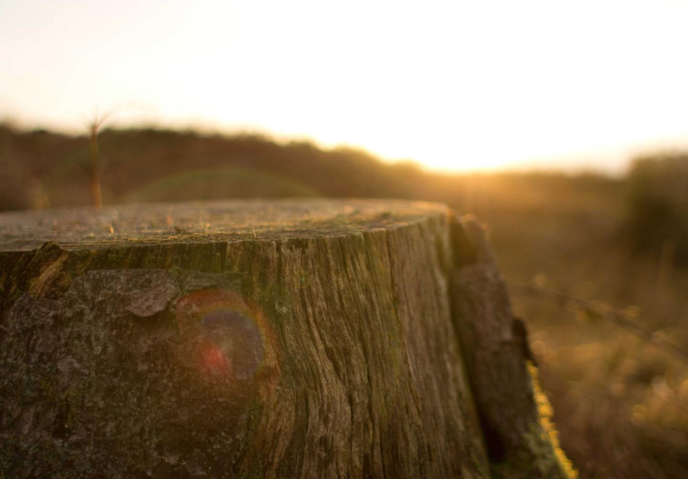 吸烟对人的社交行为的影响