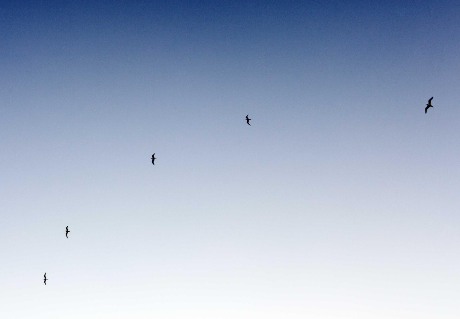 买卖微信号码:闲乐棋牌平台代理